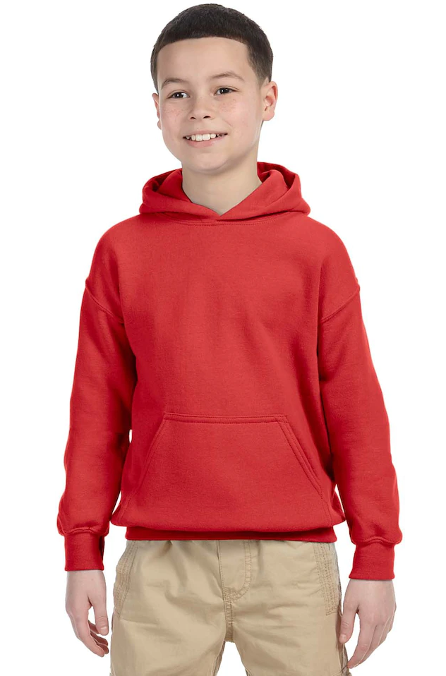 Hooded sweatshirt with applique